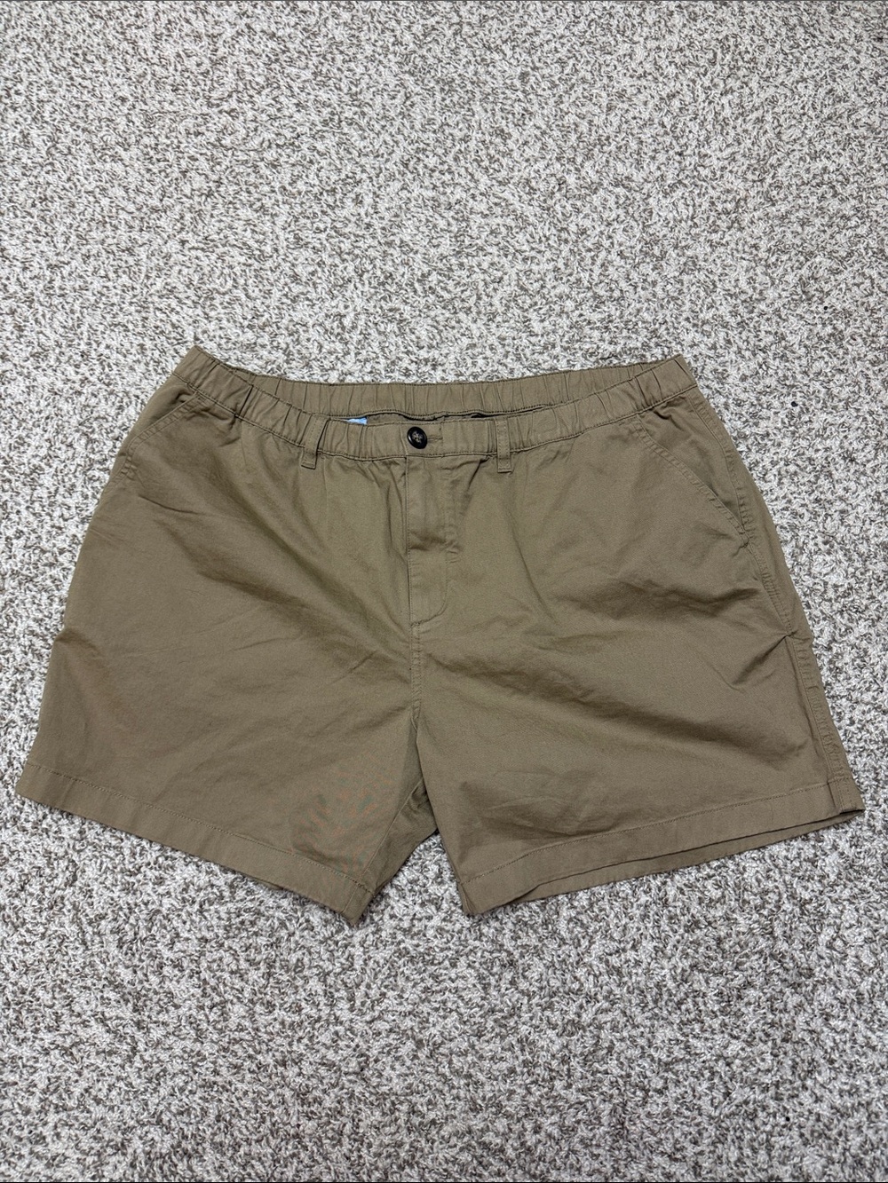 Chubbies 5.5 inseam shorts